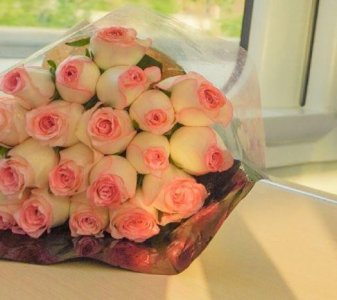 ​礼仪修养的谚语84句