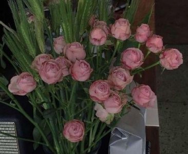 ​给人启示的谚语86句