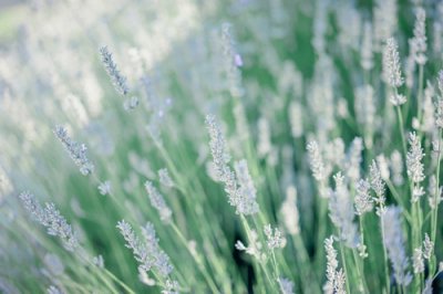 ​2025年为武汉加油的祝福语给武汉助威加油的词句