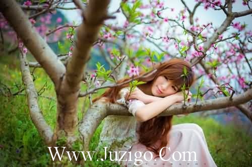 2025年春节廉洁短信50句