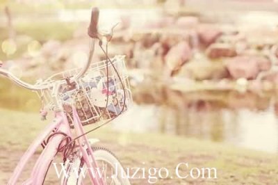 ​2025年党风廉政短信82句