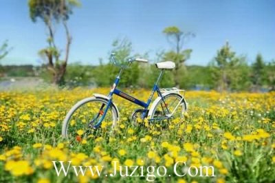 ​2025年春节另类祝福语55句