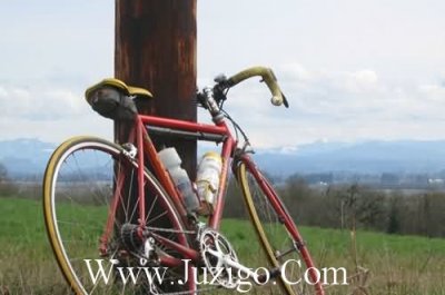 ​2025年新年对公司祝福语