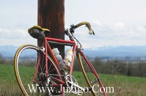 2025年新年对公司祝福语