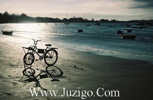 2025年蛇年明信片新年祝福语