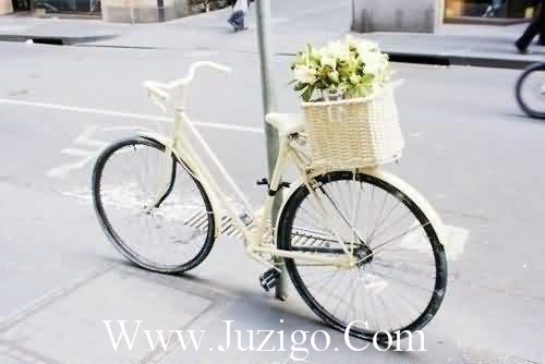 2025年儿子结婚祝福语大全