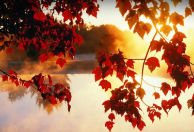 ​关于天空星星像什么比喻句的句子精选52句