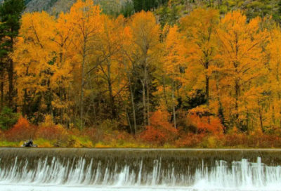 ​教之道 贵以专