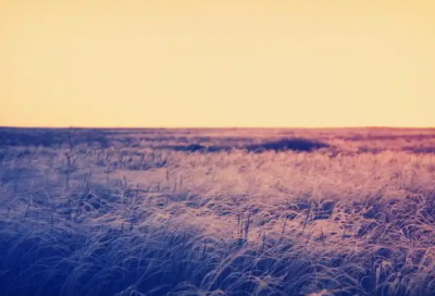 ​天涯若比邻的上一句