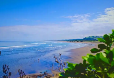 ​远去的乡村阅读答案