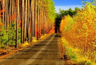 ​谢道韫咏絮22句