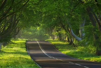 ​凌晨四点的洛杉矶24句