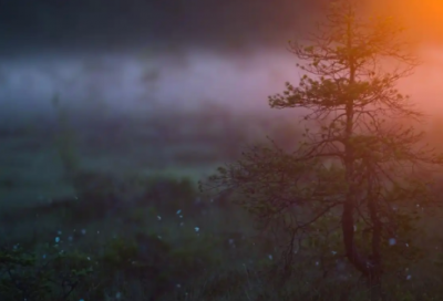 ​发的成语【61句精选】