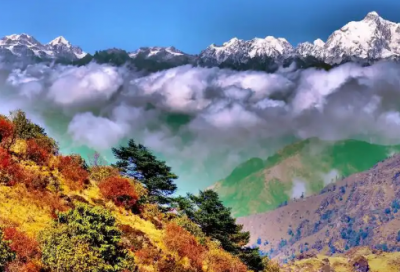 ​佟亚丽个人资料【41句精选】