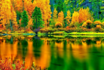 ​僻的拼音和组词精选44句