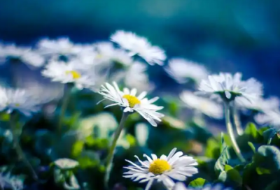 ​北京四合院介绍