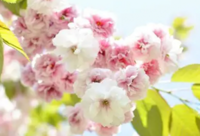 ​勾的组词精选63句