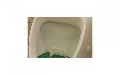 ​傍晚给女朋友的问候语（套路女友情话最暖心短句）