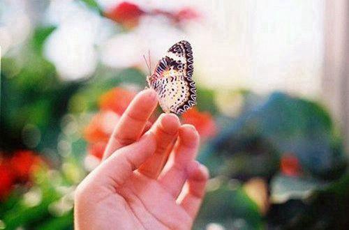 祝父亲节快乐的句子（精选90句）