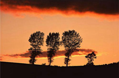 有关对生活的人生感悟句子