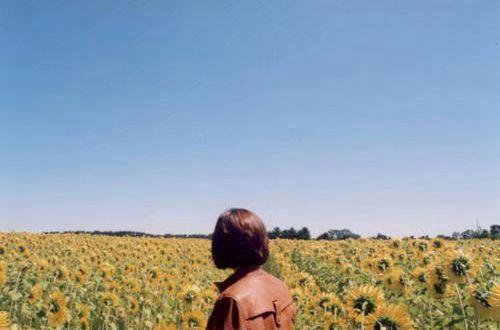 激励自己努力奋斗的句子