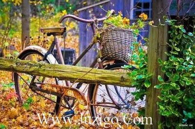 ​圣诞节朋友圈文案句子(圣诞节朋友圈说说文案句子)