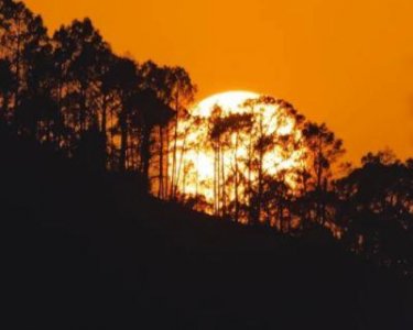 ​我喜欢你的说说