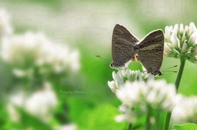 ​早朋友圈早安心语简单 早安语录正能量朋友圈汇总75句