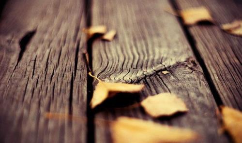 发微信朋友圈的正能量说说短语