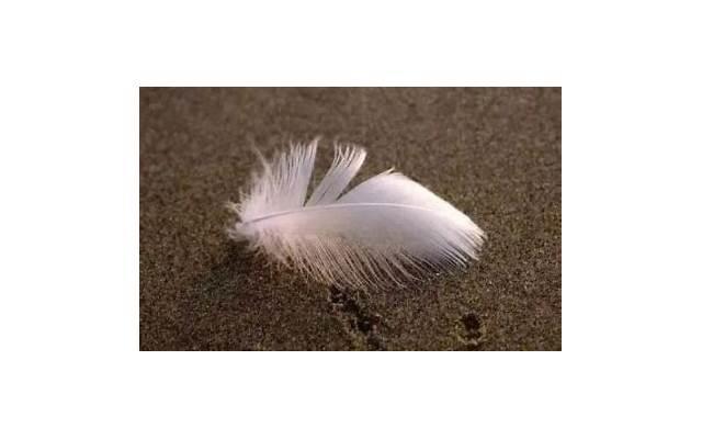 一月再见二月你好心情说说短句 一月再见二月你好心情说说短句