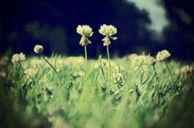 ​拽酷说说43句