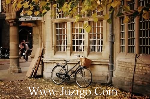 希望一切都好的说说希望一切好运的说说(精选48句)