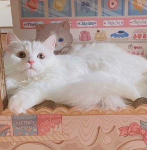 ​正能量早安说说汇编31句