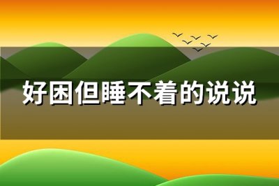 ​好困但睡不着的说说(优选51句)