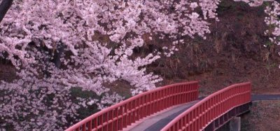 ​简短却很温柔的治愈系文案（浪漫而不烂俗的高级治愈文案）