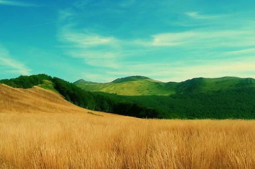 建团百年祝贺文案大全(精选100句)