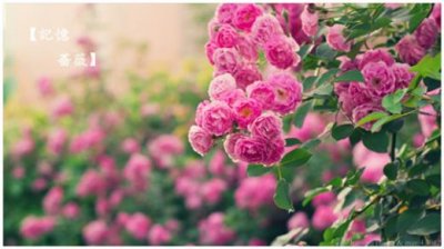 ​睡前发在朋友圈的短语（适合睡觉前发的朋友圈）