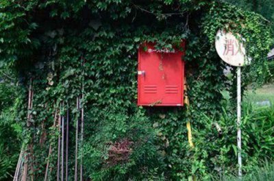 ​适合旅行完成发朋友圈的文案 旅行的文案简单汇总77句