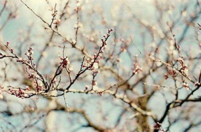 ​雨天说说86句