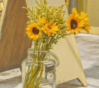 ​适合发朋友圈简单干净的句子(精选54句)