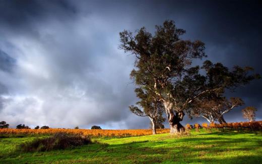 碎心石心情不好的说说