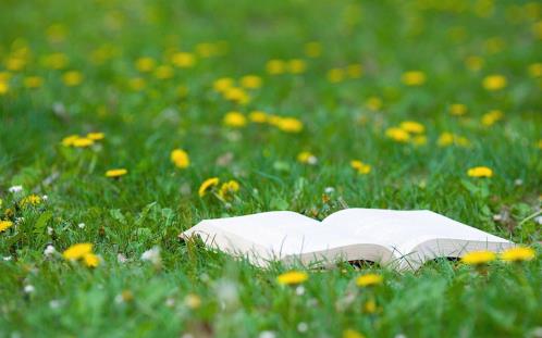 青春励志语录长句