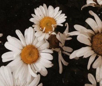 ​三观超正超干净的文案 比风还温柔的治愈短句合集33句