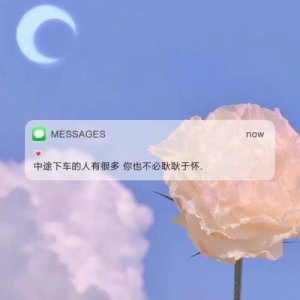 ​晚安心语正能量一句话（晚安正能量简单一句话）