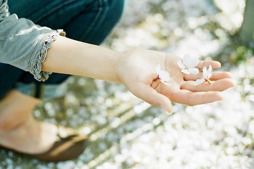 一句简短的风景文案(26句)