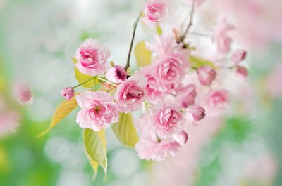 ​感谢别人送的礼物说说(32句)