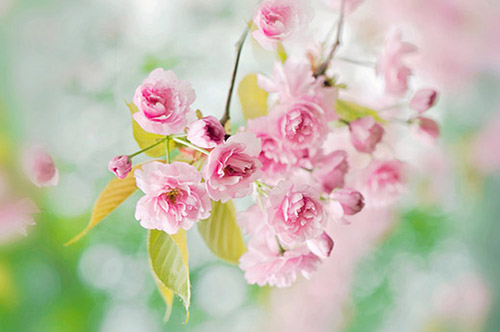 感谢别人送的礼物说说(32句)