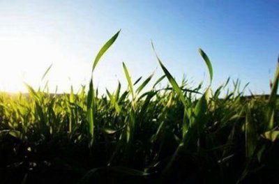 ​每日打卡说一句激励自己的话(39句)