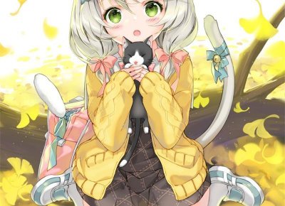 ​沙鸥遇海滩抖音文案（沙滩上沙鸥图片）