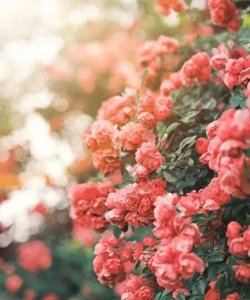 ​24个很喜欢的励志正能量句子，句句戳心，支撑你走过低谷期